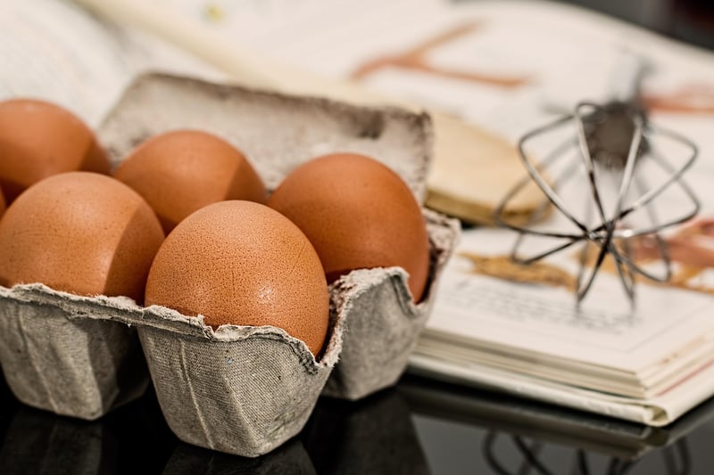 Egg Carton Craft